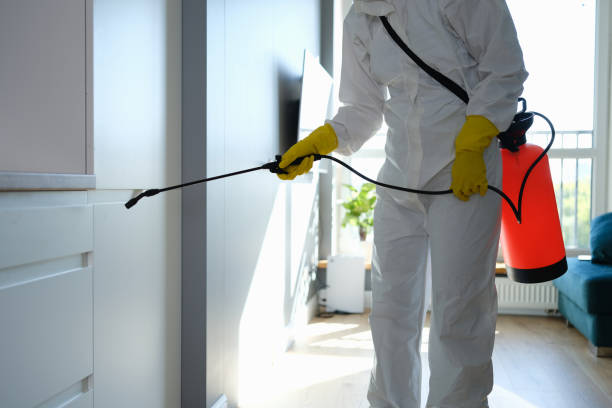 Channel Islands Beach, CA Mold Remediation Company