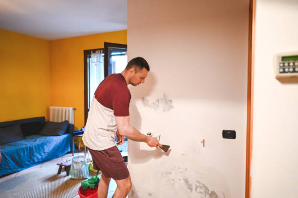 Best Post-Flood Mold Remediation in Channel Islands Beach, CA